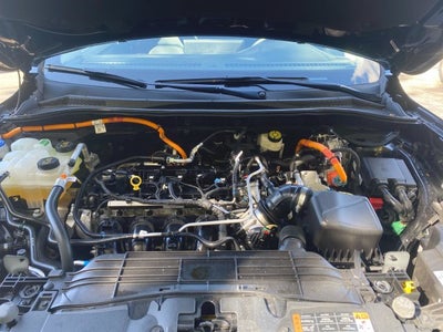 2025 Ford Escape Hybrid Platinum
