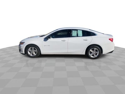 2023 Chevrolet Malibu LS 1LS