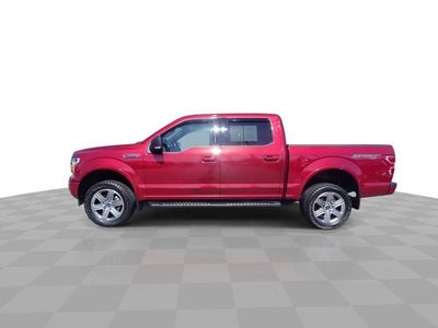 2019 Ford F-150 XL