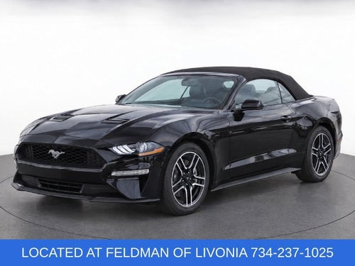 2022 Ford Mustang EcoBoost