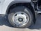 2024 Chevrolet Low Cab Forward 5500 XG 2WD Reg Cab 176