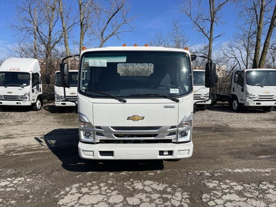 2024 Chevrolet Low Cab Forward 5500 HD 2WD Reg Cab 150